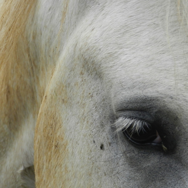 20120202193618_cam 20120202193618_cam