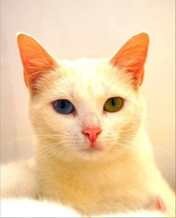 20120202224332_255724_223201674376374_223118964384645_840371_2271156_n 20120202224332_255724_223201674376374_223118964384645_840371_2271156_n