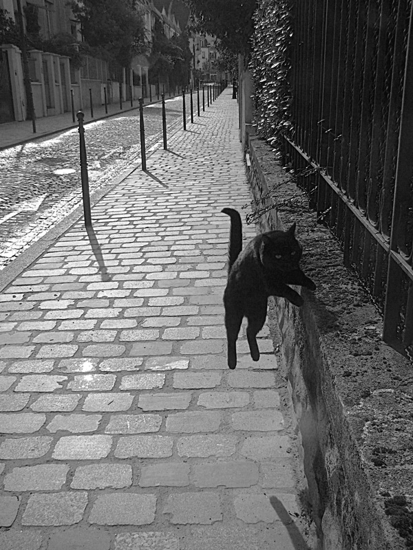 20120202205051_catdsc08876 20120202205051_catdsc08876