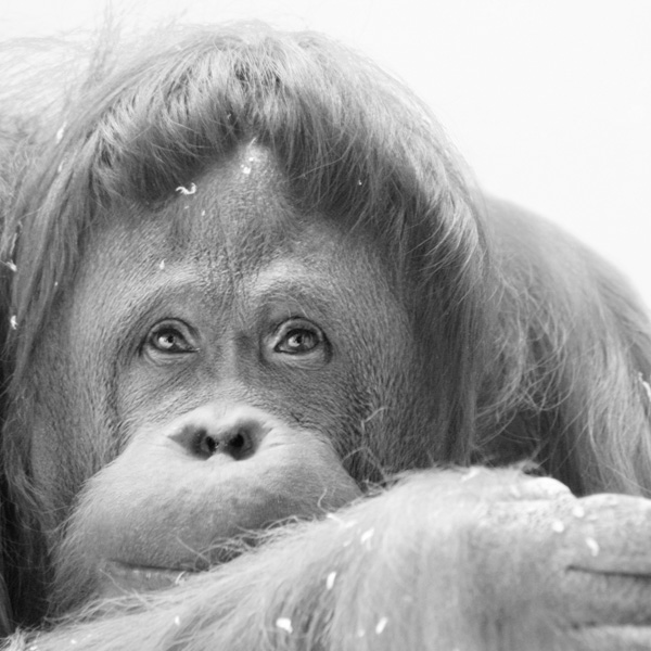 20120202215650_envoi_competence_photo 20120202215650_envoi_competence_photo