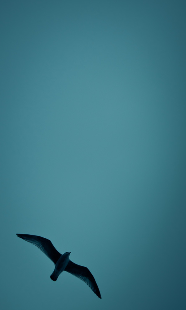 20120202101217__mg_1972 20120202101217__mg_1972