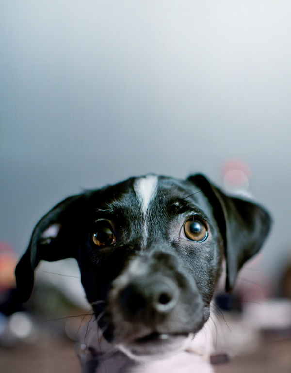 20120202104431_boudah 20120202104431_boudah