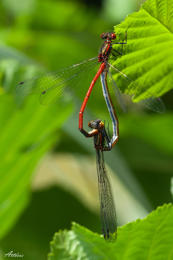 20120202122457_17052011__mg_0065 20120202122457_17052011__mg_0065
