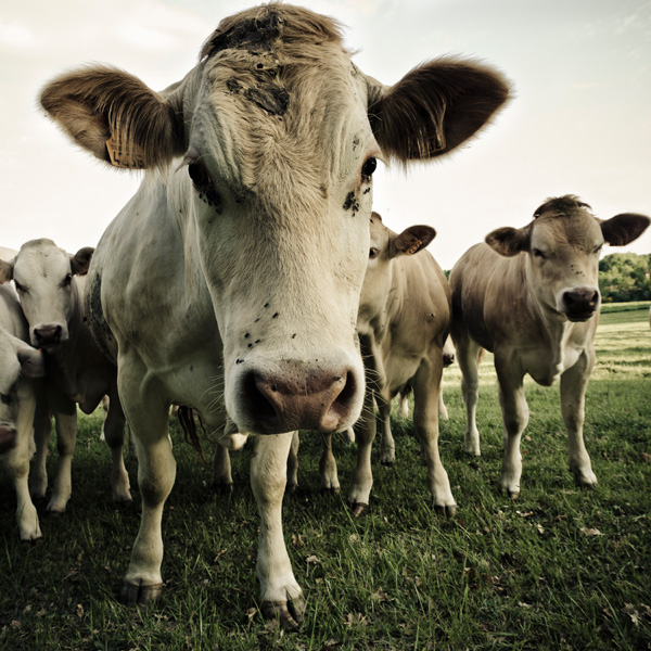 20120202150501__eb00459 20120202150501__eb00459