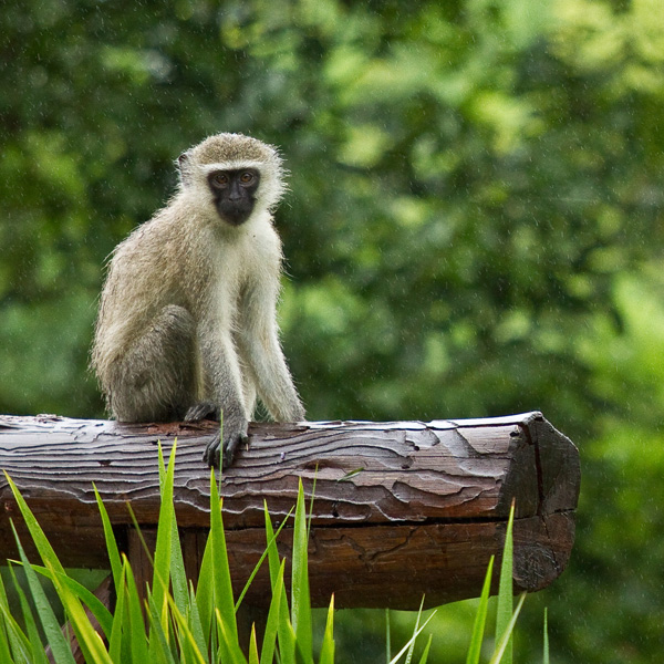 20120202145524_img_0923 20120202145524_img_0923