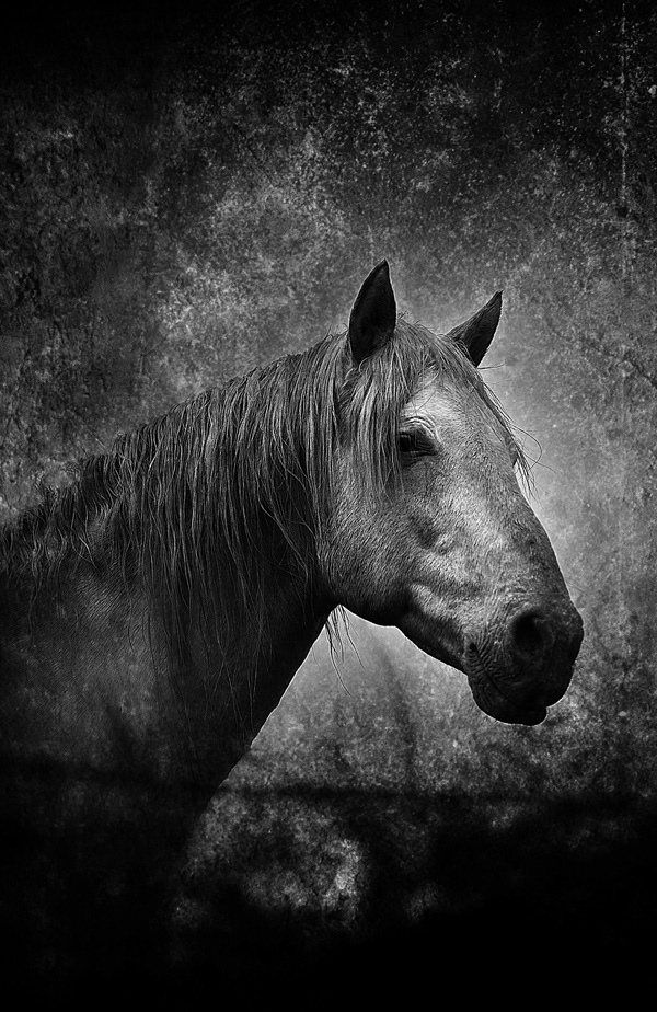 20120202173800__d3m1124_3_mod 20120202173800__d3m1124_3_mod