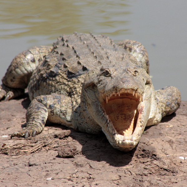 20120203231355_img_5214__ 20120203231355_img_5214__