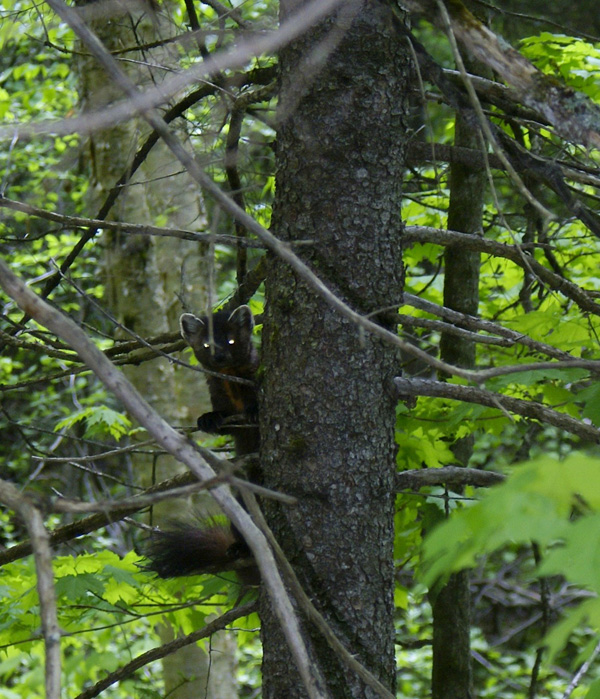 20120204125828_20110727_26 20120204125828_20110727_26