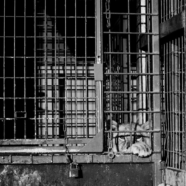 20120204150149_nofuture 20120204150149_nofuture