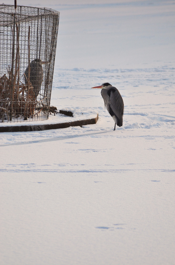 20120204151959_jahan_emmanuel 20120204151959_jahan_emmanuel