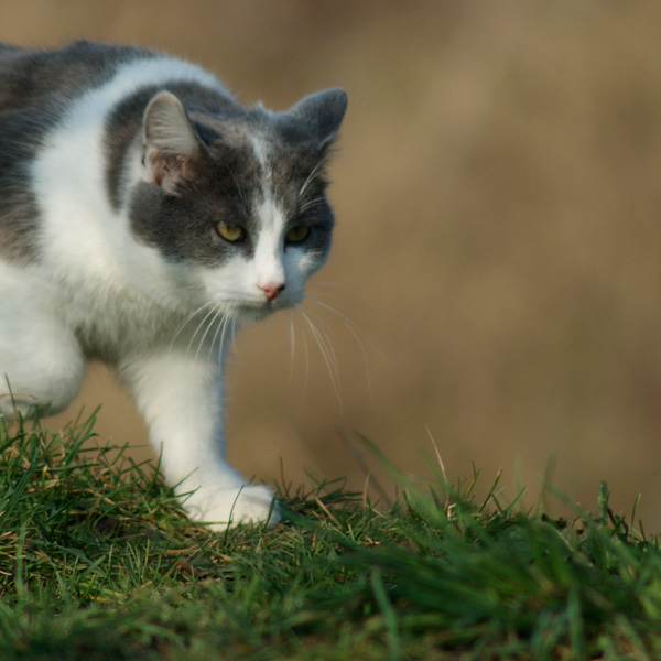 20120204172602__dsc0027 20120204172602__dsc0027