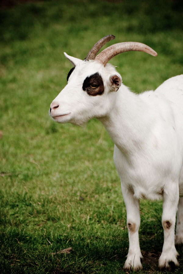 20120205025121_blanchette 20120205025121_blanchette