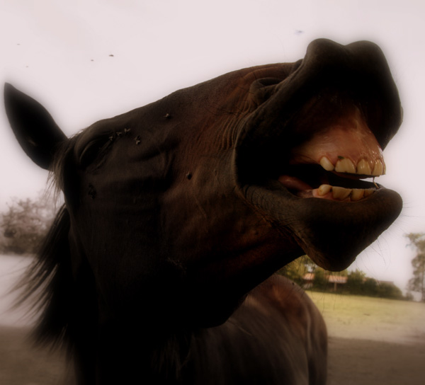 20120205105100_img_7492 20120205105100_img_7492