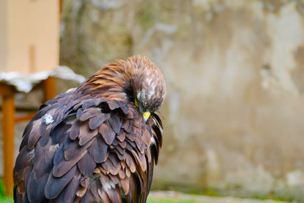 20120205223851_dsc_0661 20120205223851_dsc_0661