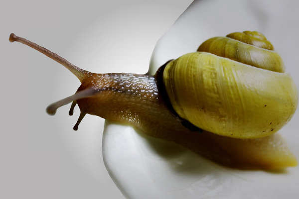 20120203190305__mg_5173 20120203190305__mg_5173