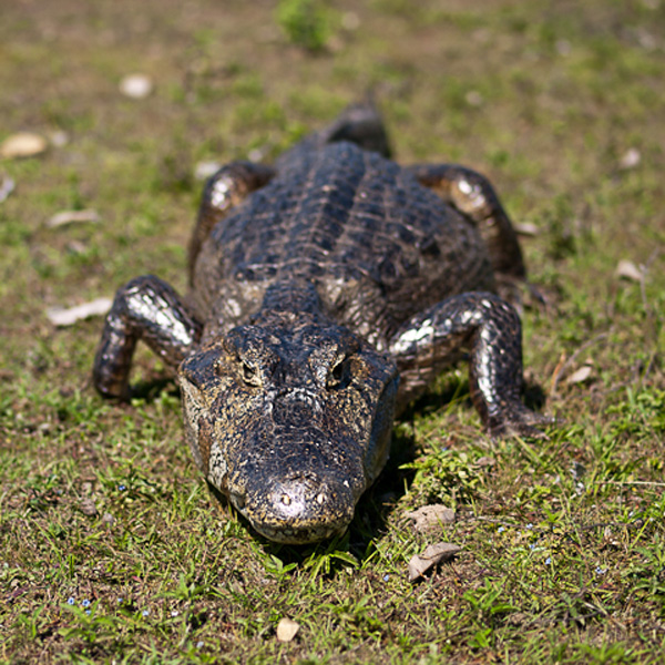 20120203184941_20090814__8143996 20120203184941_20090814__8143996