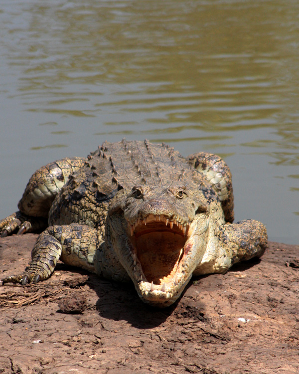 20120203233922_img_5216_ 20120203233922_img_5216_