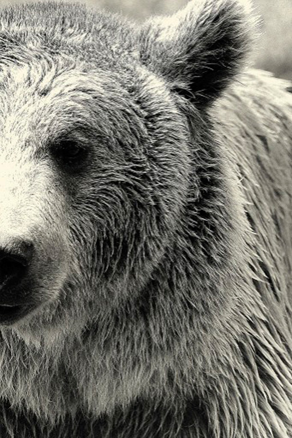 20120204074908_oui_eh_quoi_ 20120204074908_oui_eh_quoi_