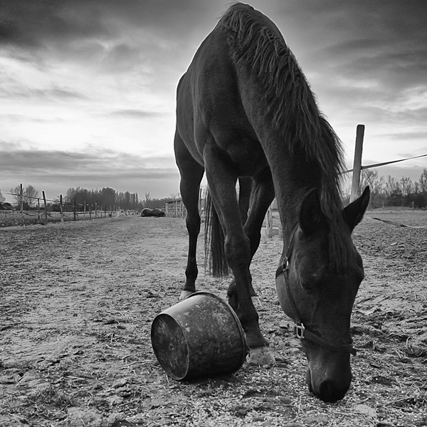 20120204174134_img_5714 20120204174134_img_5714