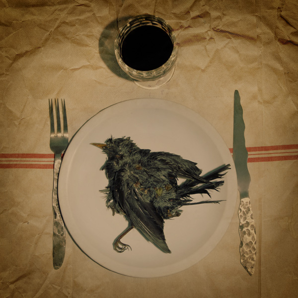 20120204182611_birdy_ok 20120204182611_birdy_ok