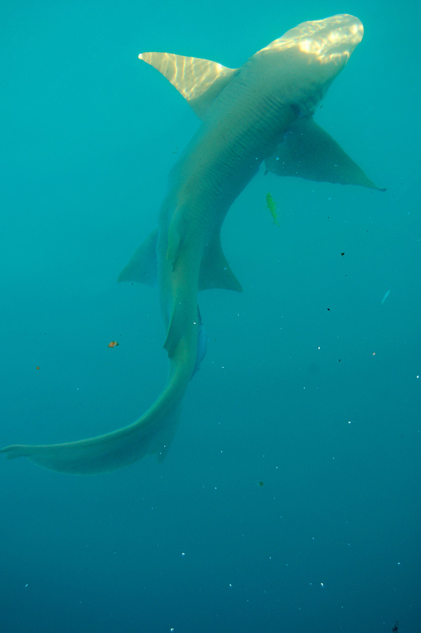 20120204191459_dsc_0181 20120204191459_dsc_0181