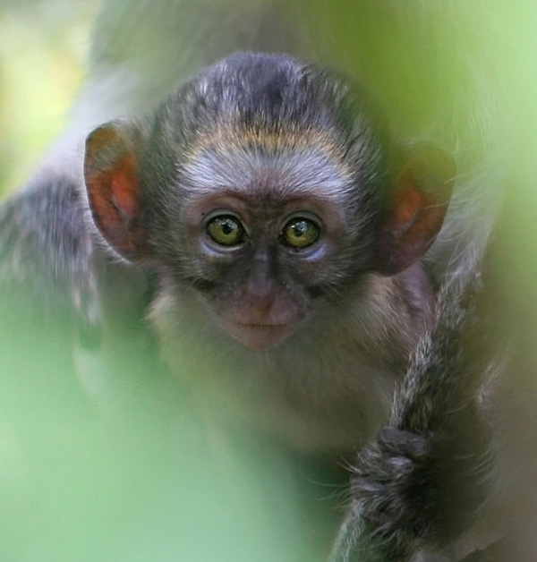 20120205101917_surprise_hd 20120205101917_surprise_hd