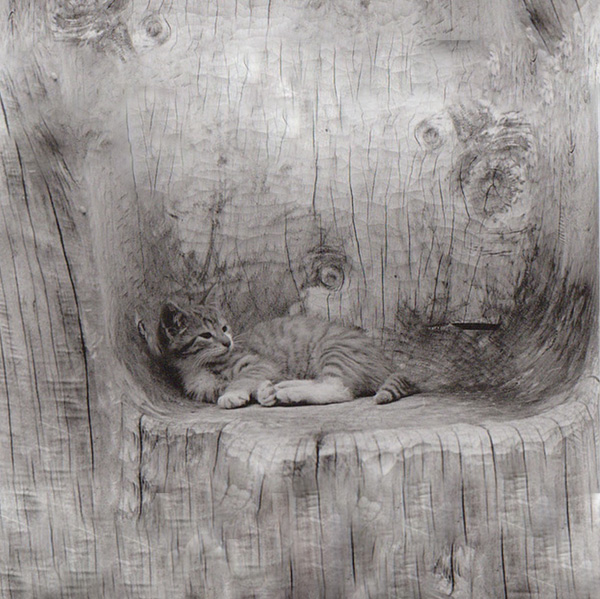 20120205135022_wooden 20120205135022_wooden