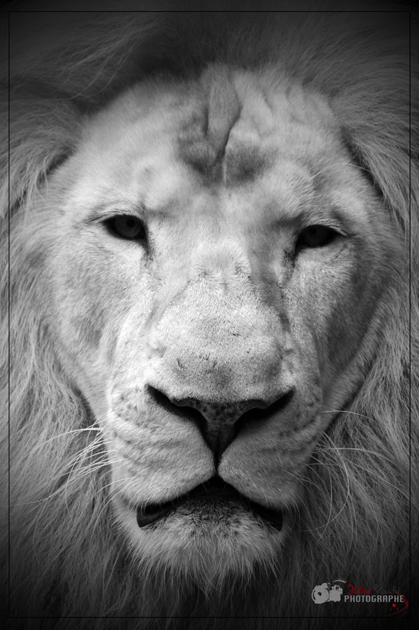 20120205161854_helene_vauche_28aug2011_5718 20120205161854_helene_vauche_28aug2011_5718