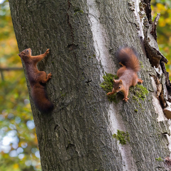 20120205201739_competence_photo 20120205201739_competence_photo