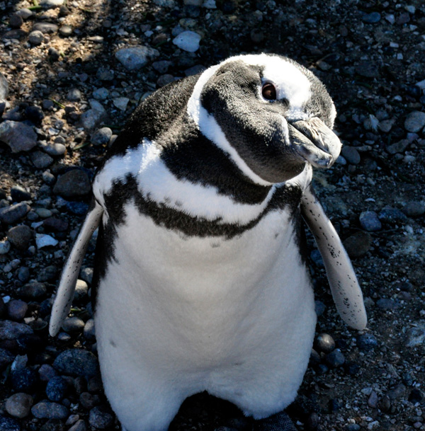 20120206080409_mathildegizon 20120206080409_mathildegizon