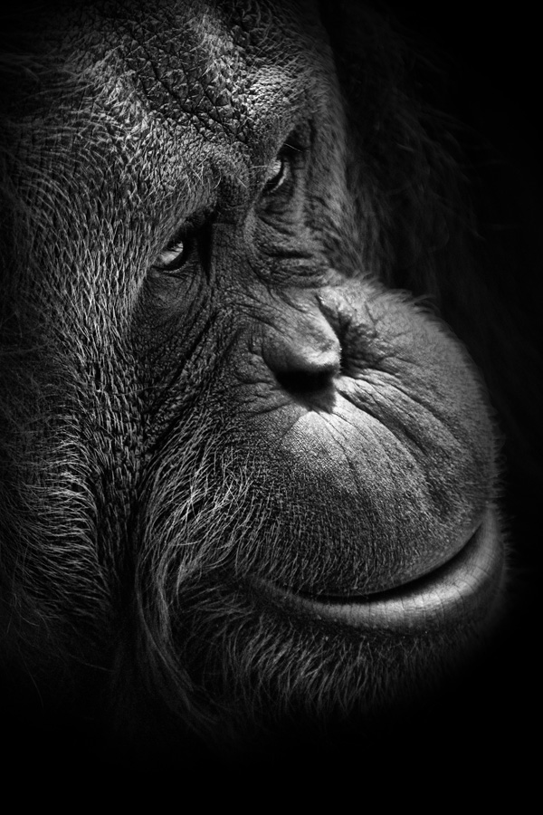 20120203121349_competence_photo 20120203121349_competence_photo