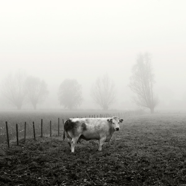 20120203163205_minalalasolitaire 20120203163205_minalalasolitaire