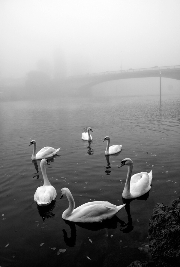 20120203215223__dsc4127nb 20120203215223__dsc4127nb