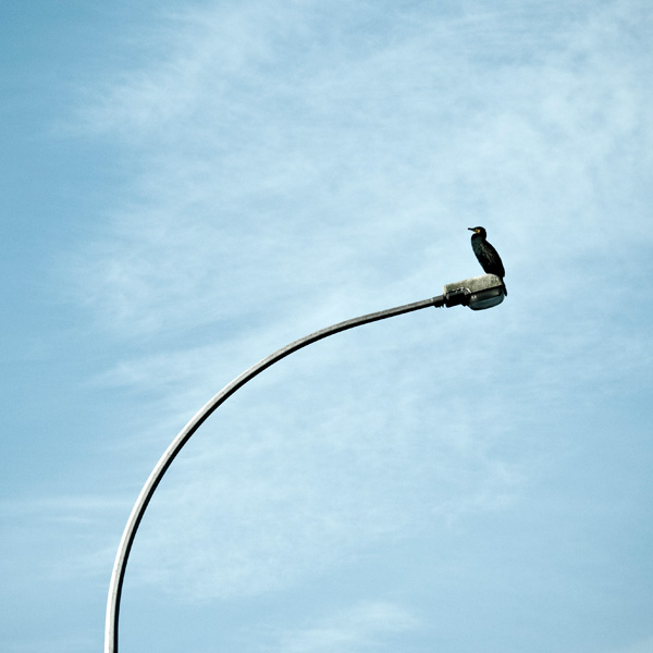 20120203221310_chat 20120203221310_chat