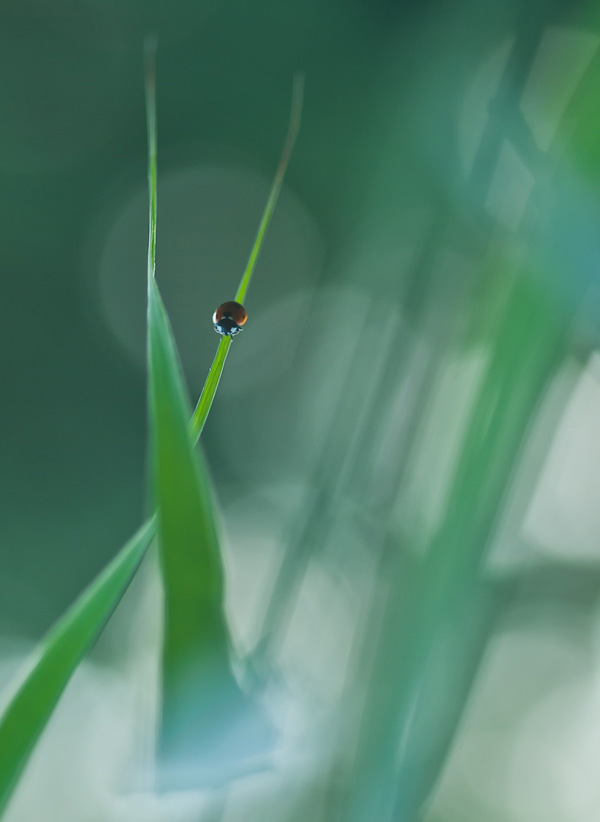 20120204005506_cox 20120204005506_cox