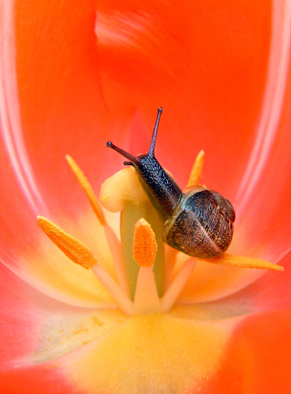 20120204005646_9_avril_2006_big 20120204005646_9_avril_2006_big