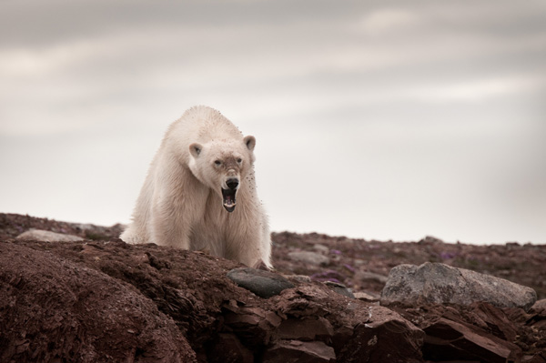 20120205132210_full_5252 20120205132210_full_5252