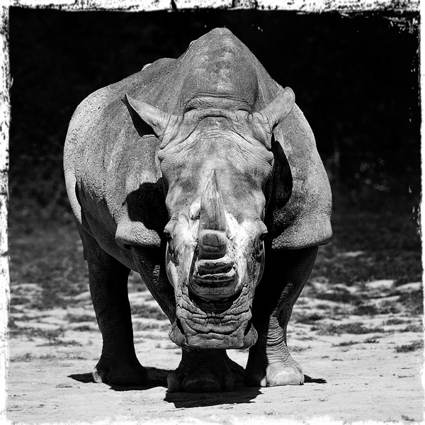 20120205200340_humble 20120205200340_humble