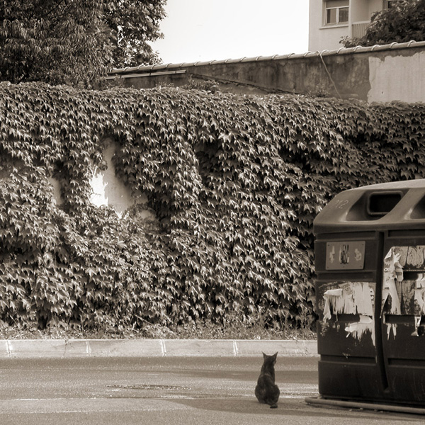 20120206123314_attente 20120206123314_attente