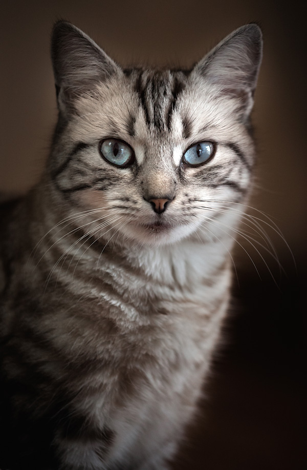 20120206153250__mg_2209_1 20120206153250__mg_2209_1