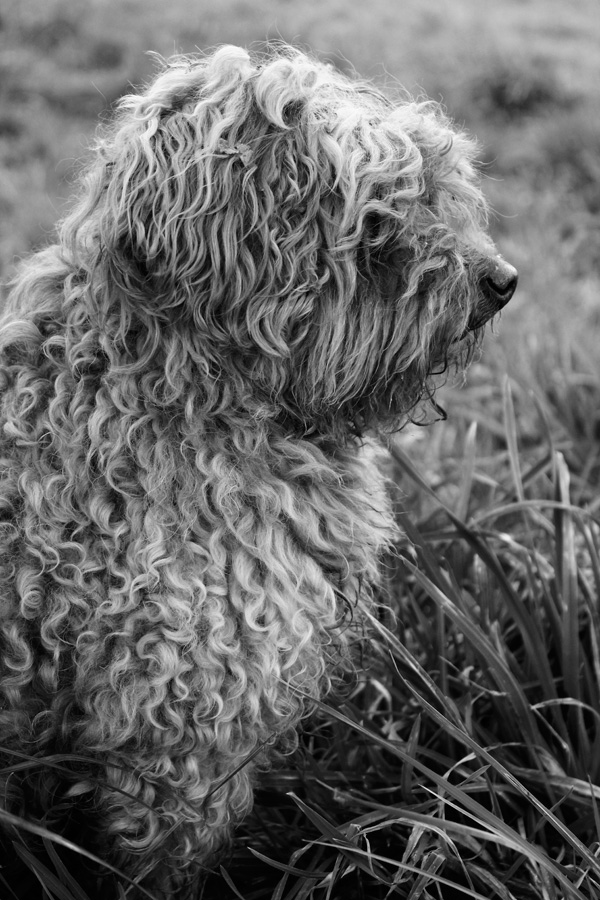 20120206155456__mg_2941 20120206155456__mg_2941