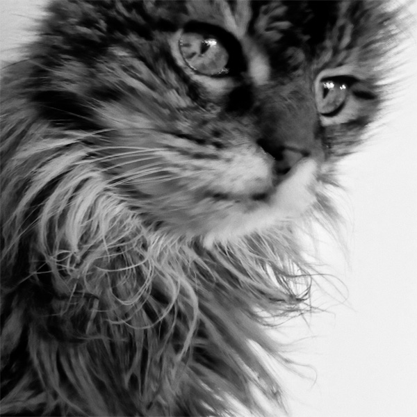 20120206161707_loindela_02 20120206161707_loindela_02