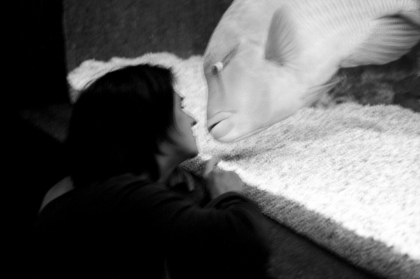 20120206175748_thierryclech 20120206175748_thierryclech