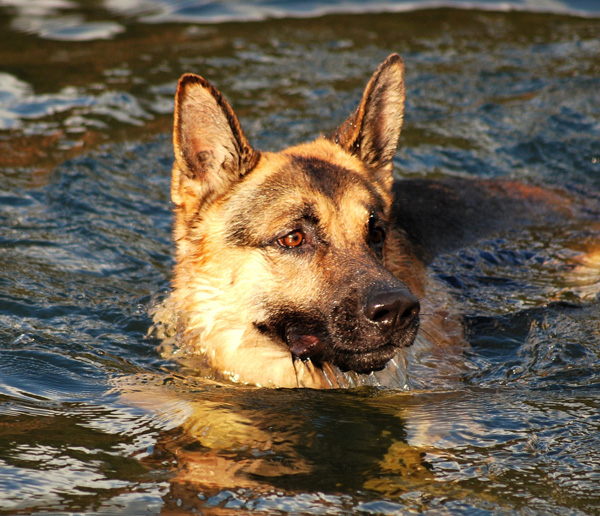 20120206214640_dsc_0141c 20120206214640_dsc_0141c