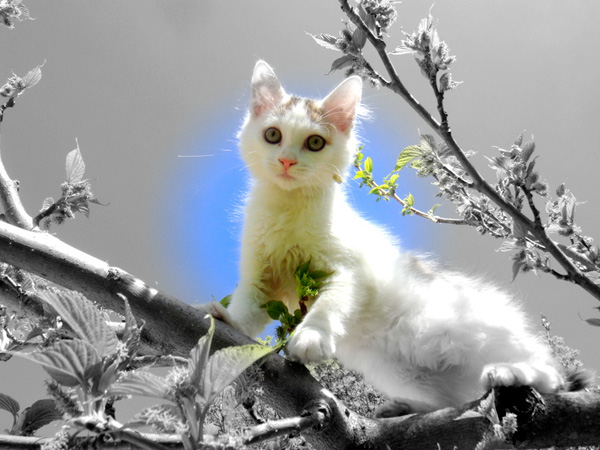 20120207070224_dsc05345 20120207070224_dsc05345