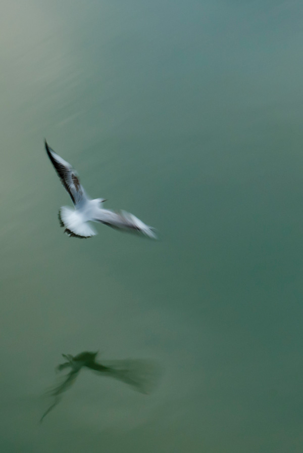 20120206235256__dsc5565 20120206235256__dsc5565