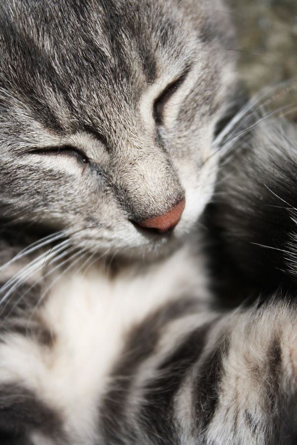 20120207101108_img_5730 20120207101108_img_5730