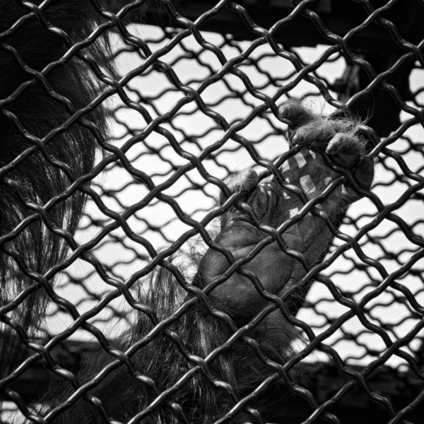 20120207133600_6179216772_751c422797_o 20120207133600_6179216772_751c422797_o