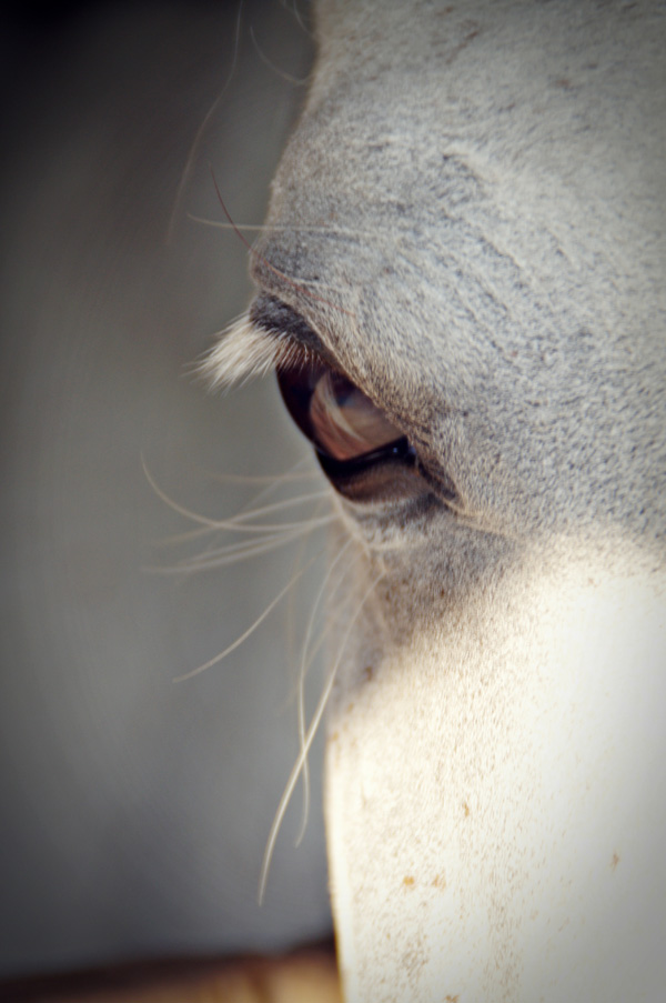 20120207133923_branne_065 20120207133923_branne_065