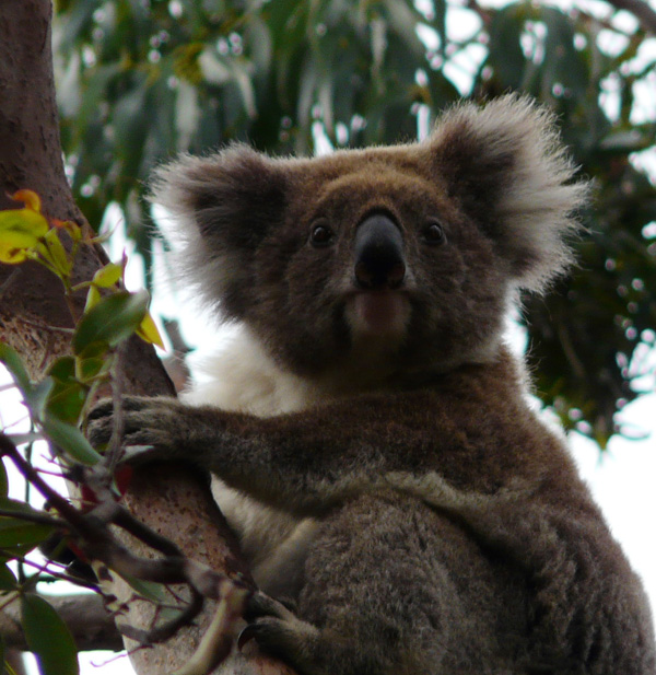 20120208140504_p1070397 20120208140504_p1070397